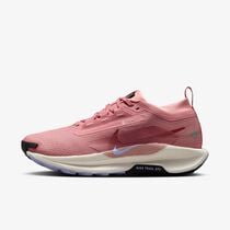 Nike Pegasus Trail 5 GORE-TEX