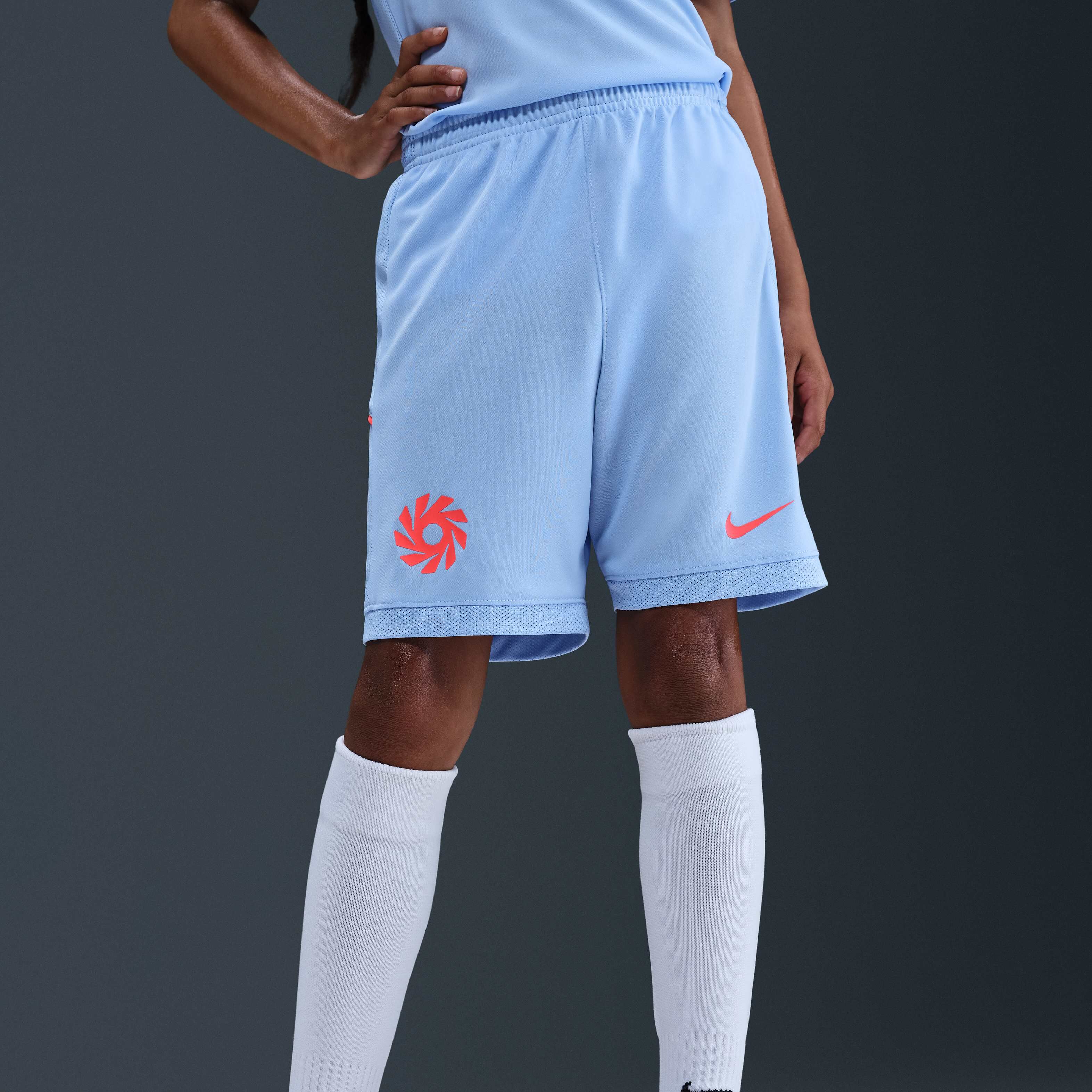 Erling Haaland Academy image number 1