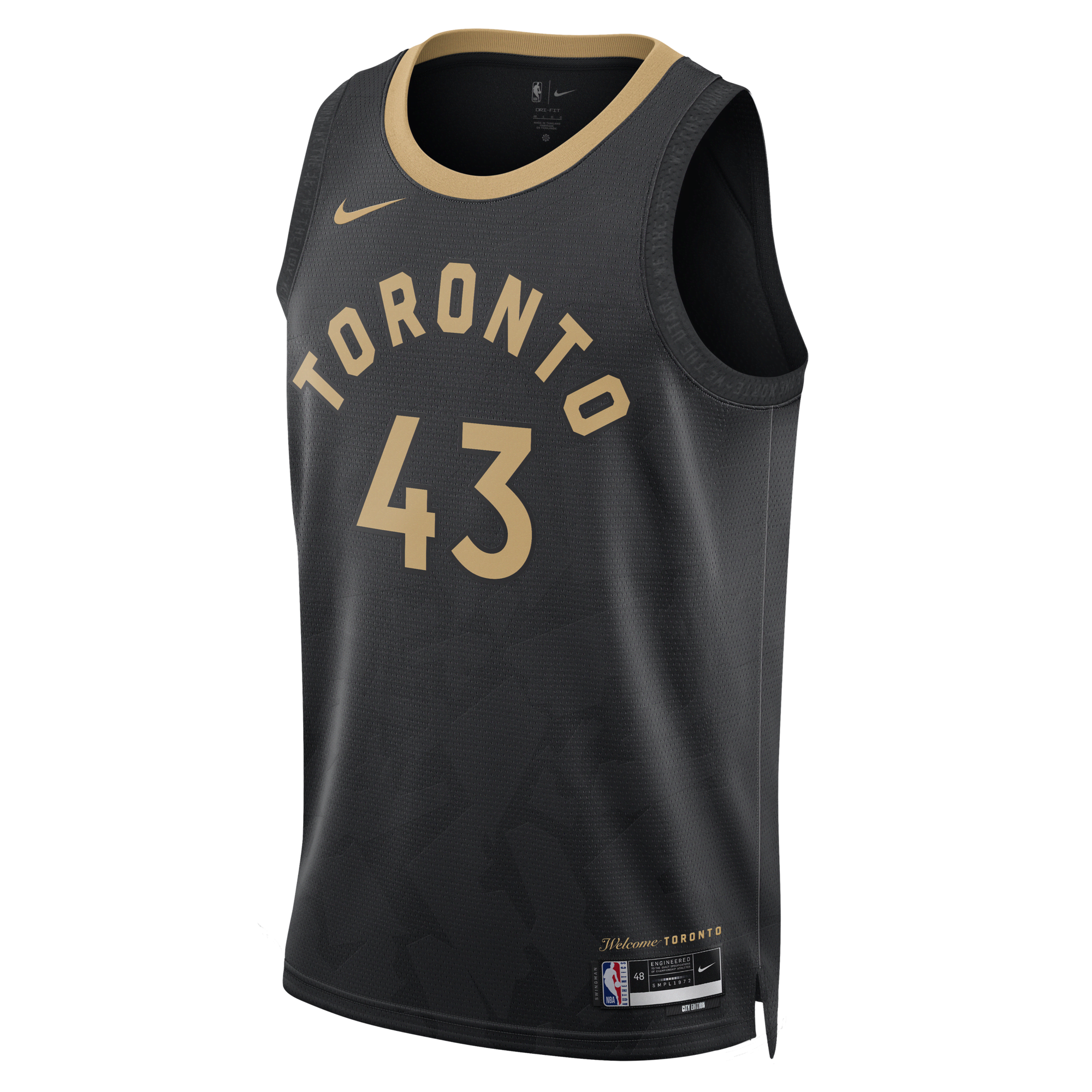 City edition raptors best sale jersey