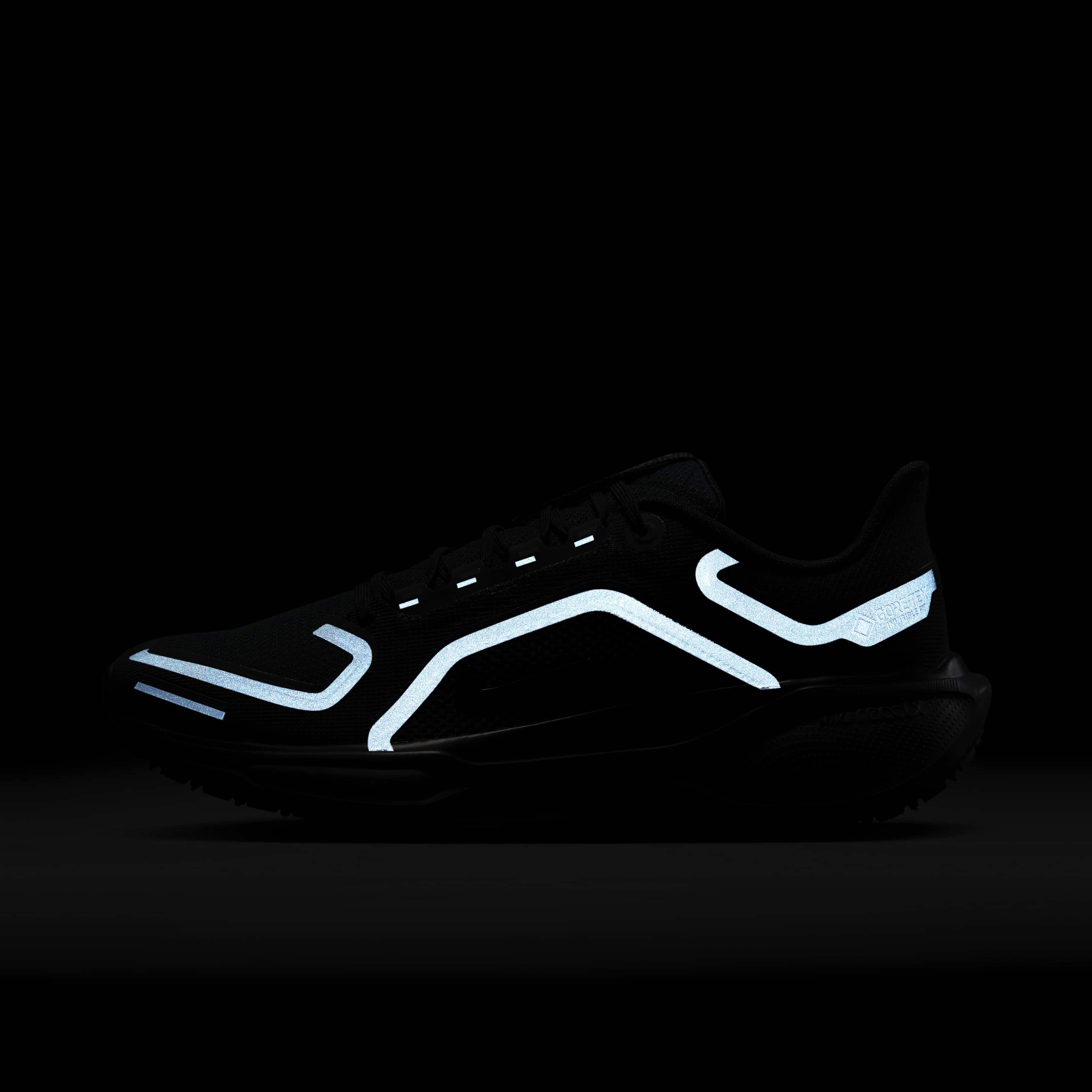 Nike Pegasus 41 GORE-TEX image number 10