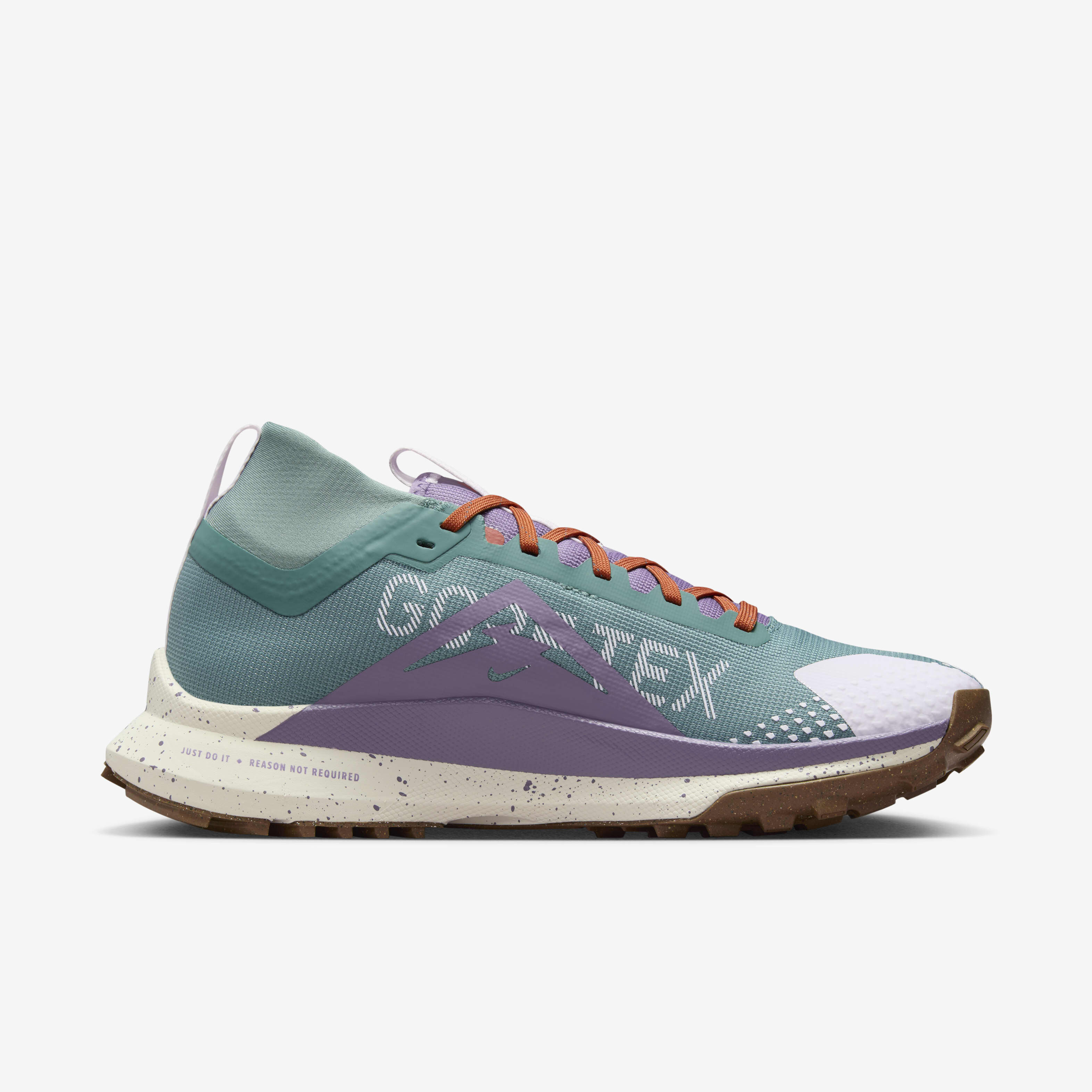 Nike Pegasus Trail 4 GORE-TEX image number 2