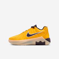 LeBron Witness 9