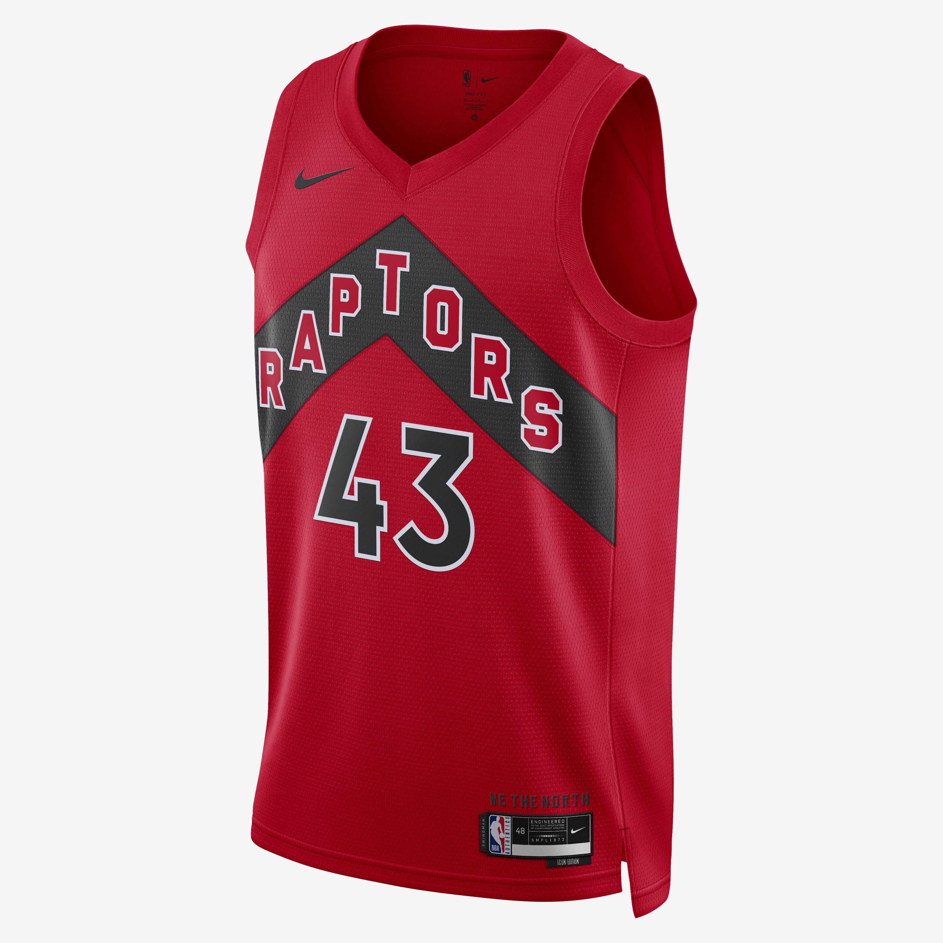 Toronto Raptors Icon Edition image number 0