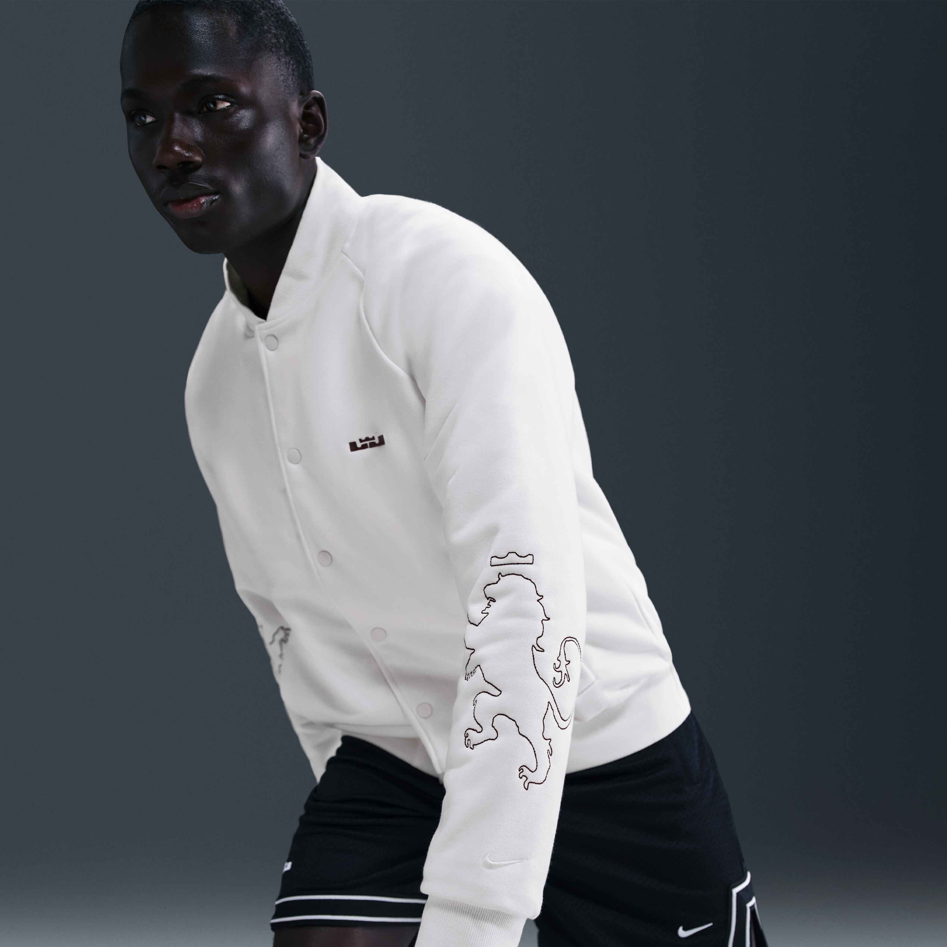 LeBron Standard Issue image number 2