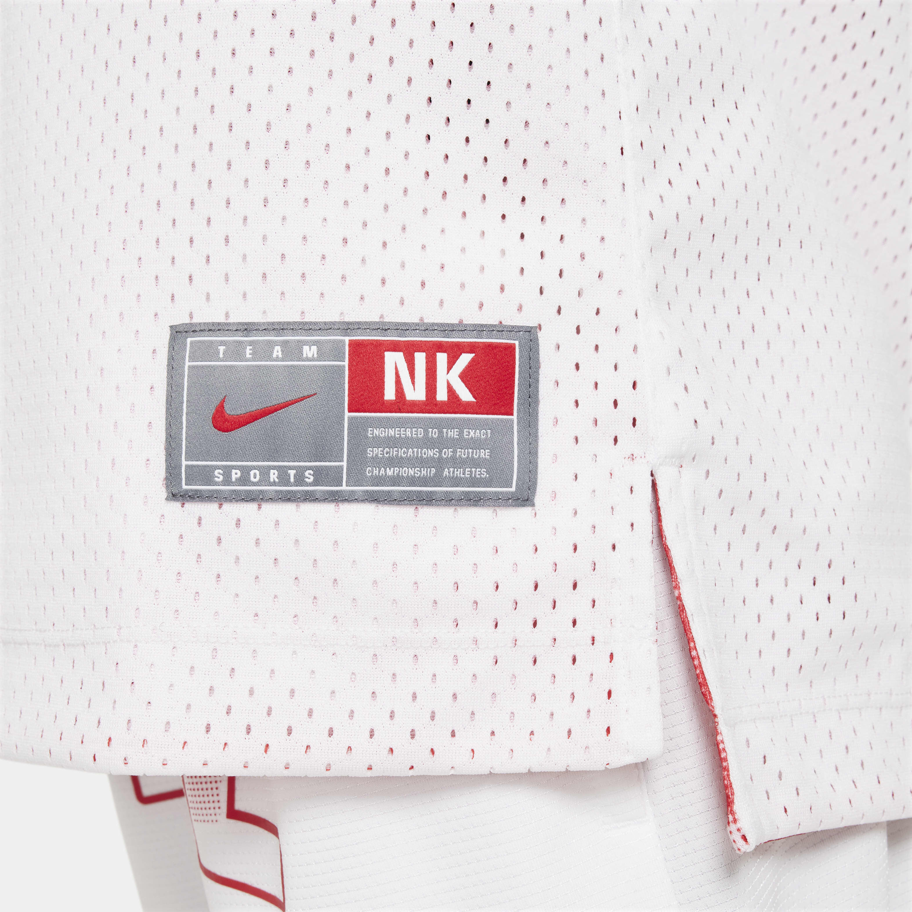 نايكي كلتشر اوف باسكتبول image number 3