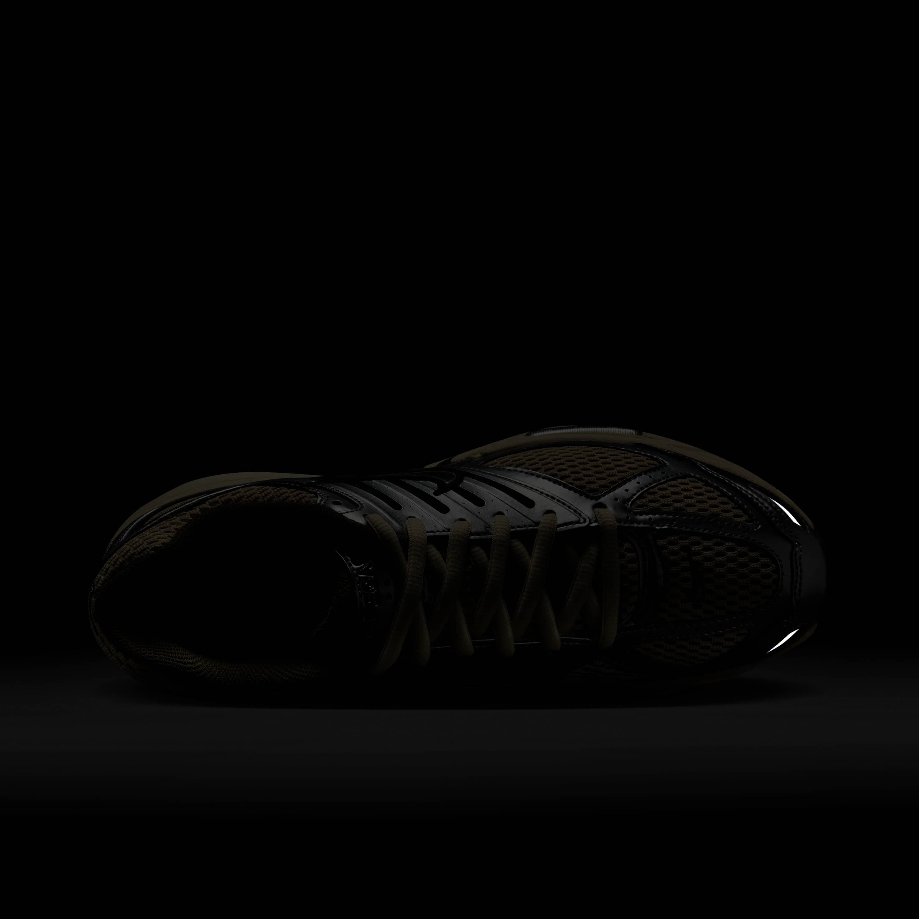 نايكي اير بيجاسوس 2005 image number 8