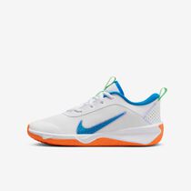 Nike Omni Multi-Court
