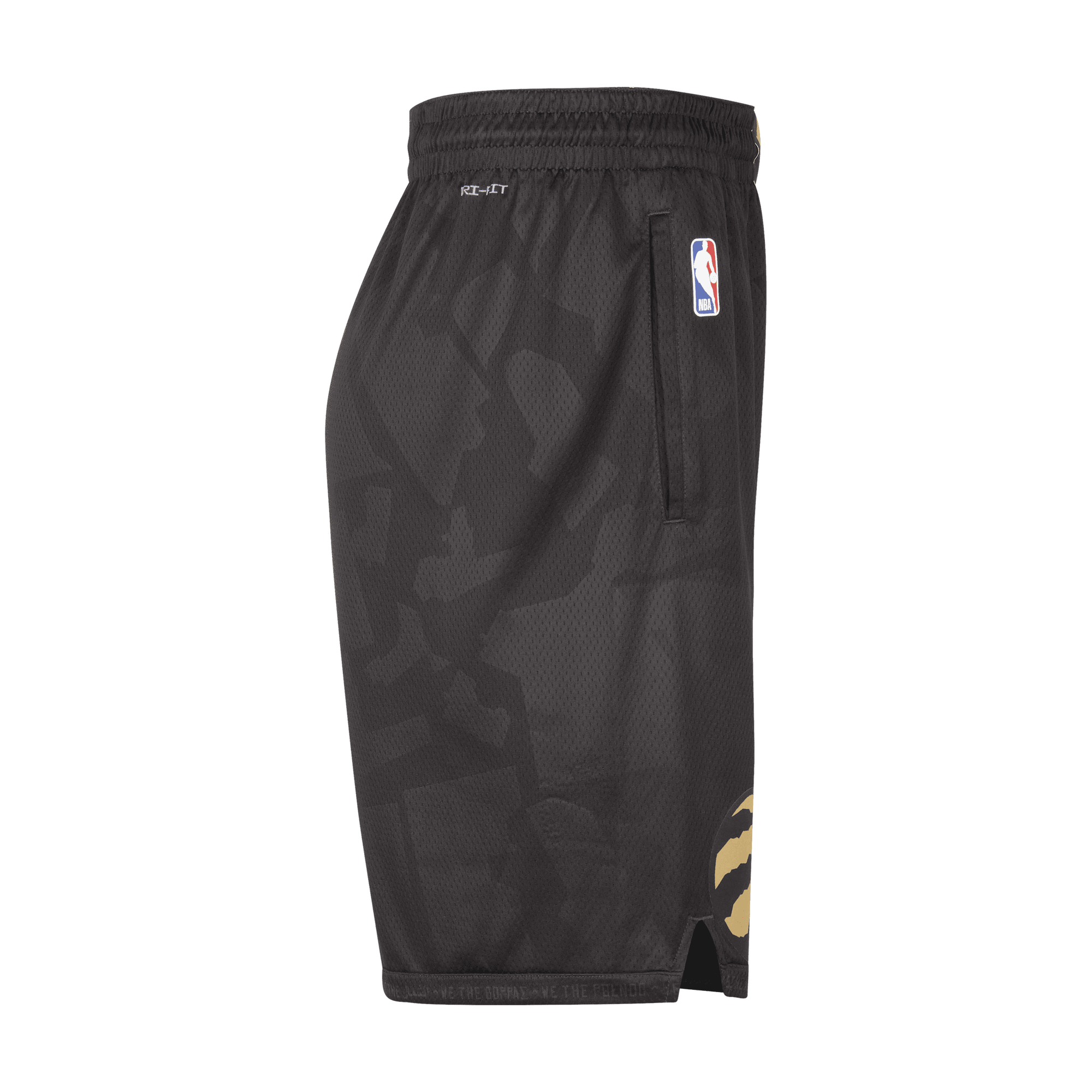 Nike raptors shorts clearance
