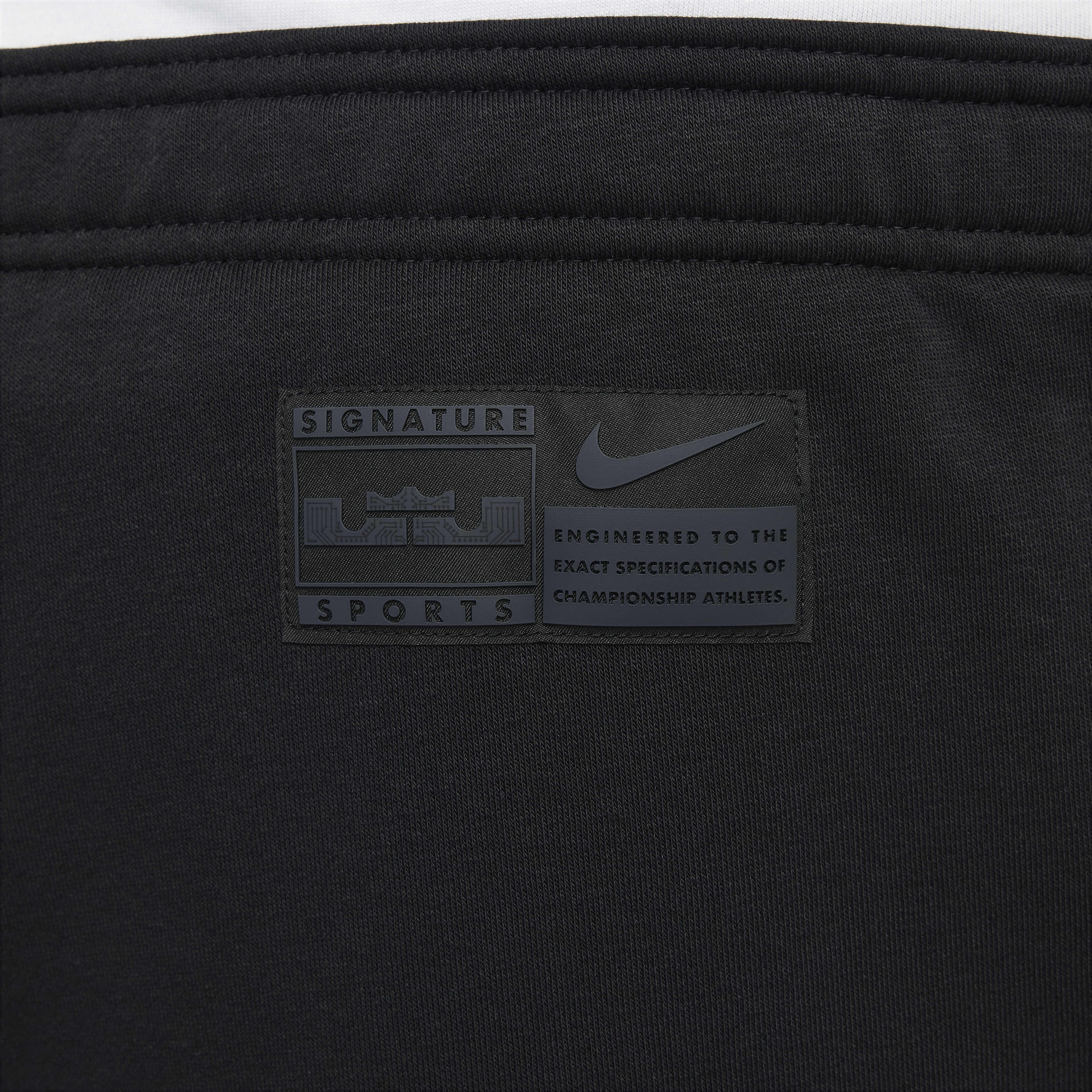 LeBron Standard Issue image number 15