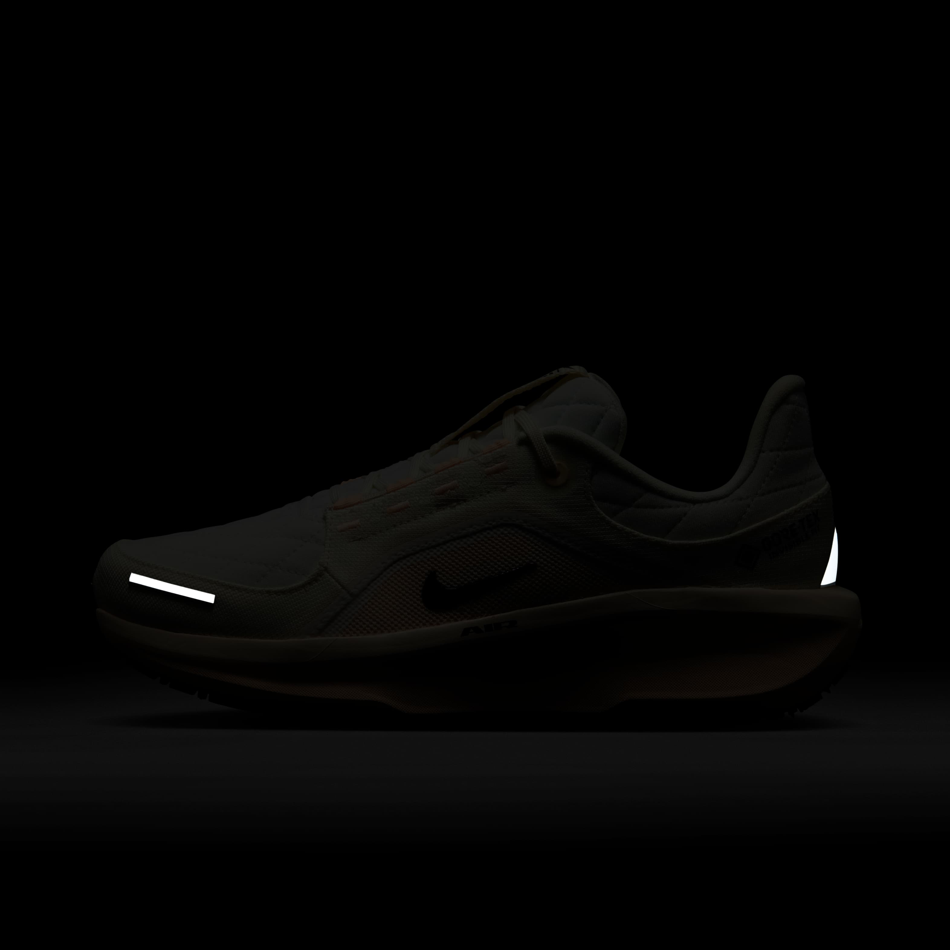 Nike Winflo 11 GORE-TEX image number 9