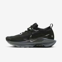 Nike Pegasus Trail 5 GORE-TEX