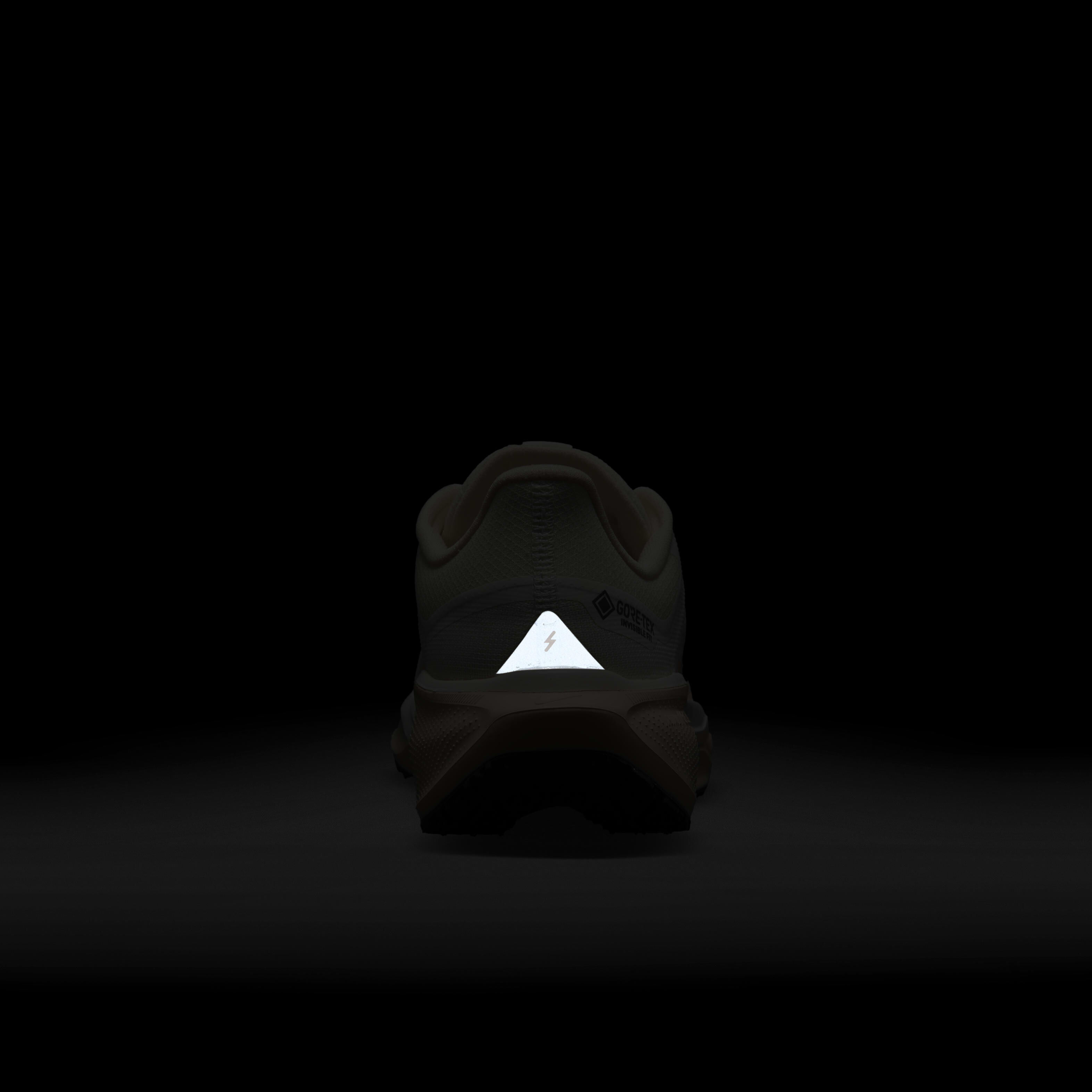 Nike Pegasus 41 GORE-TEX image number 9