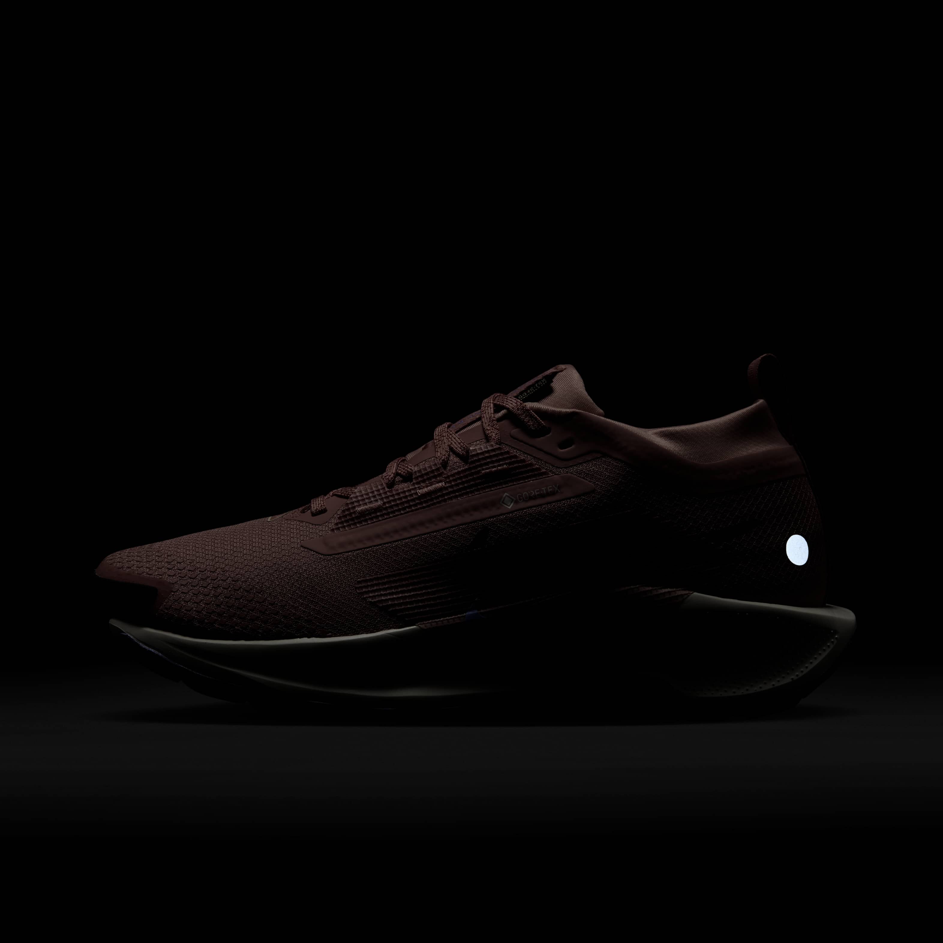 Nike Pegasus Trail 5 GORE-TEX image number 9