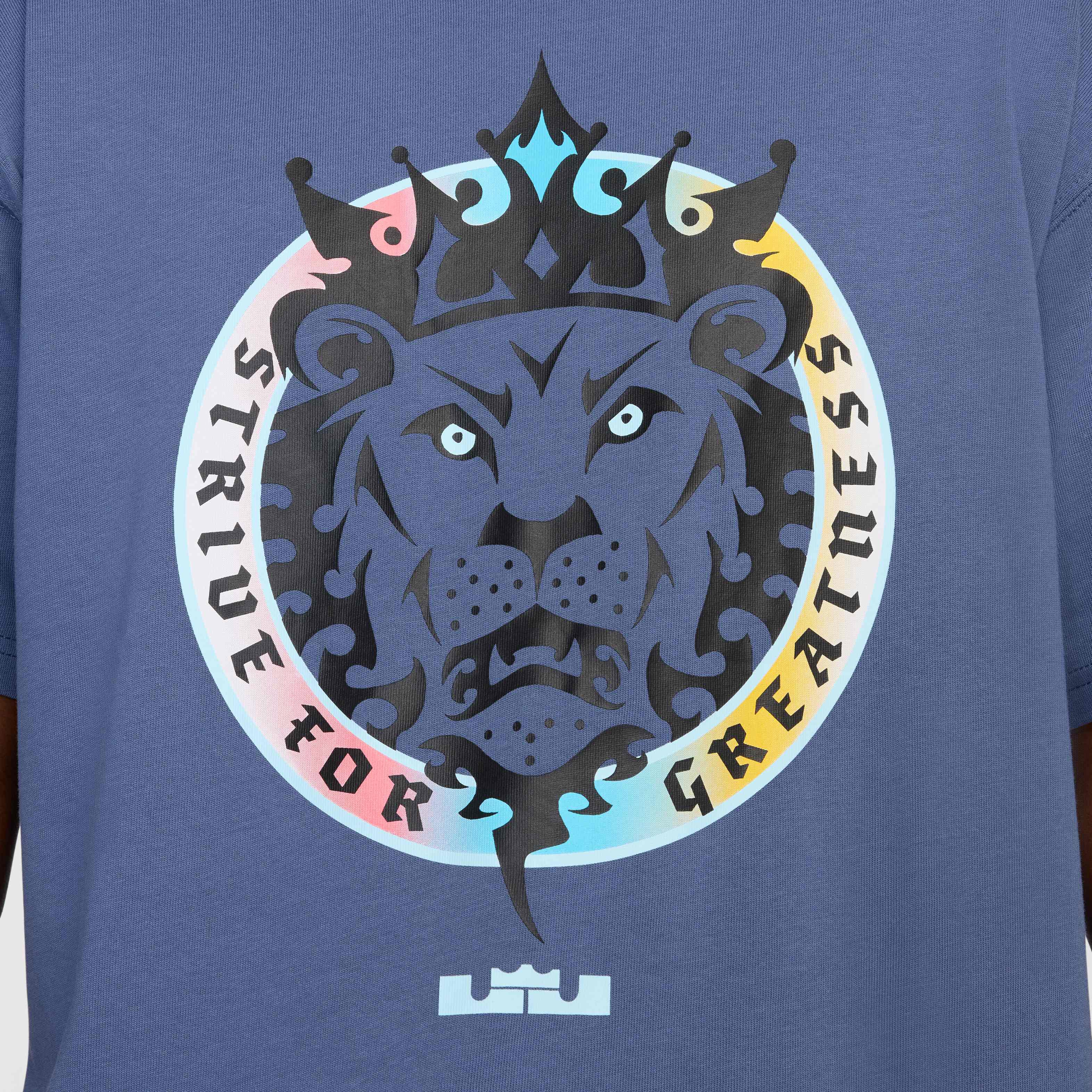 LeBron image number 3