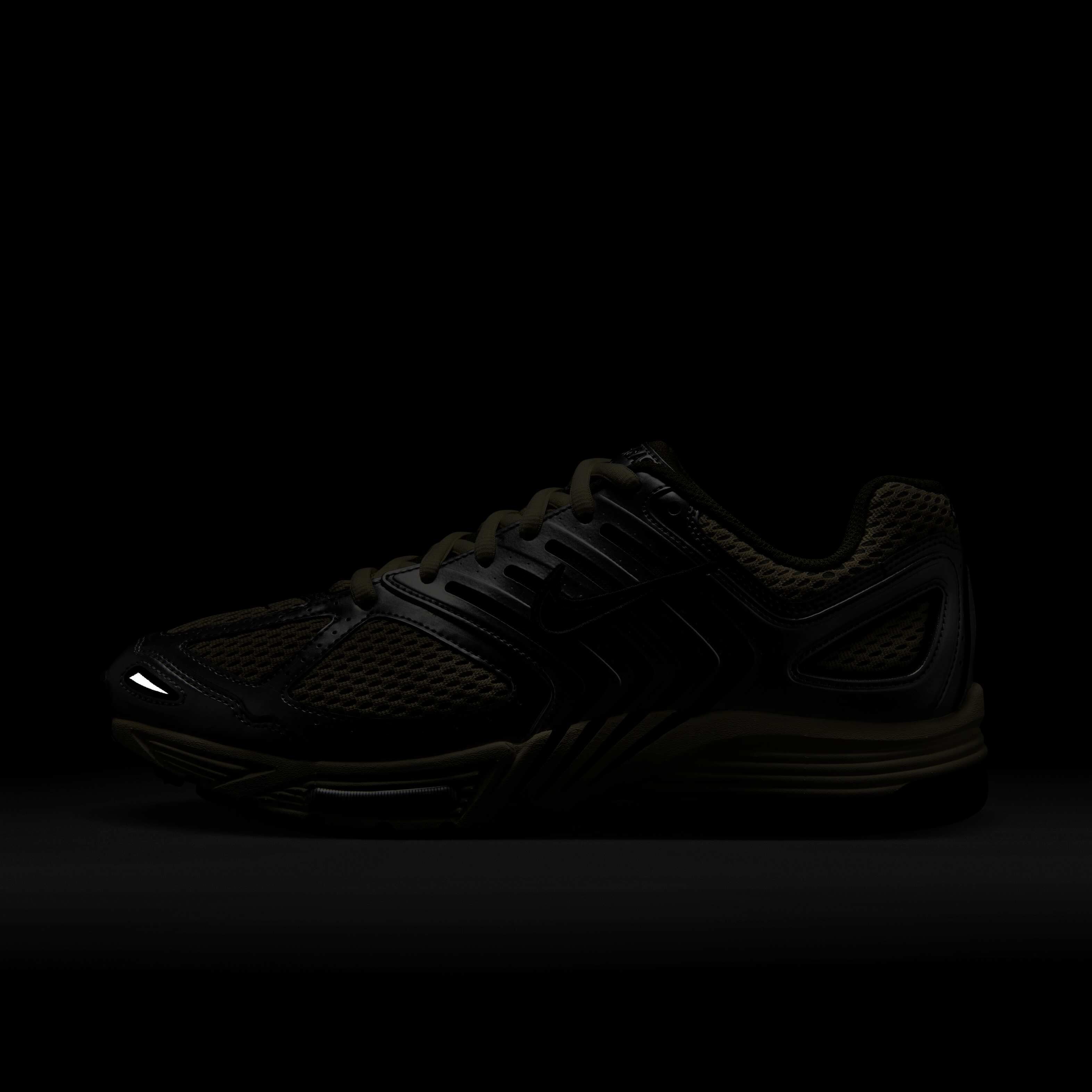 نايكي اير بيجاسوس 2005 image number 10