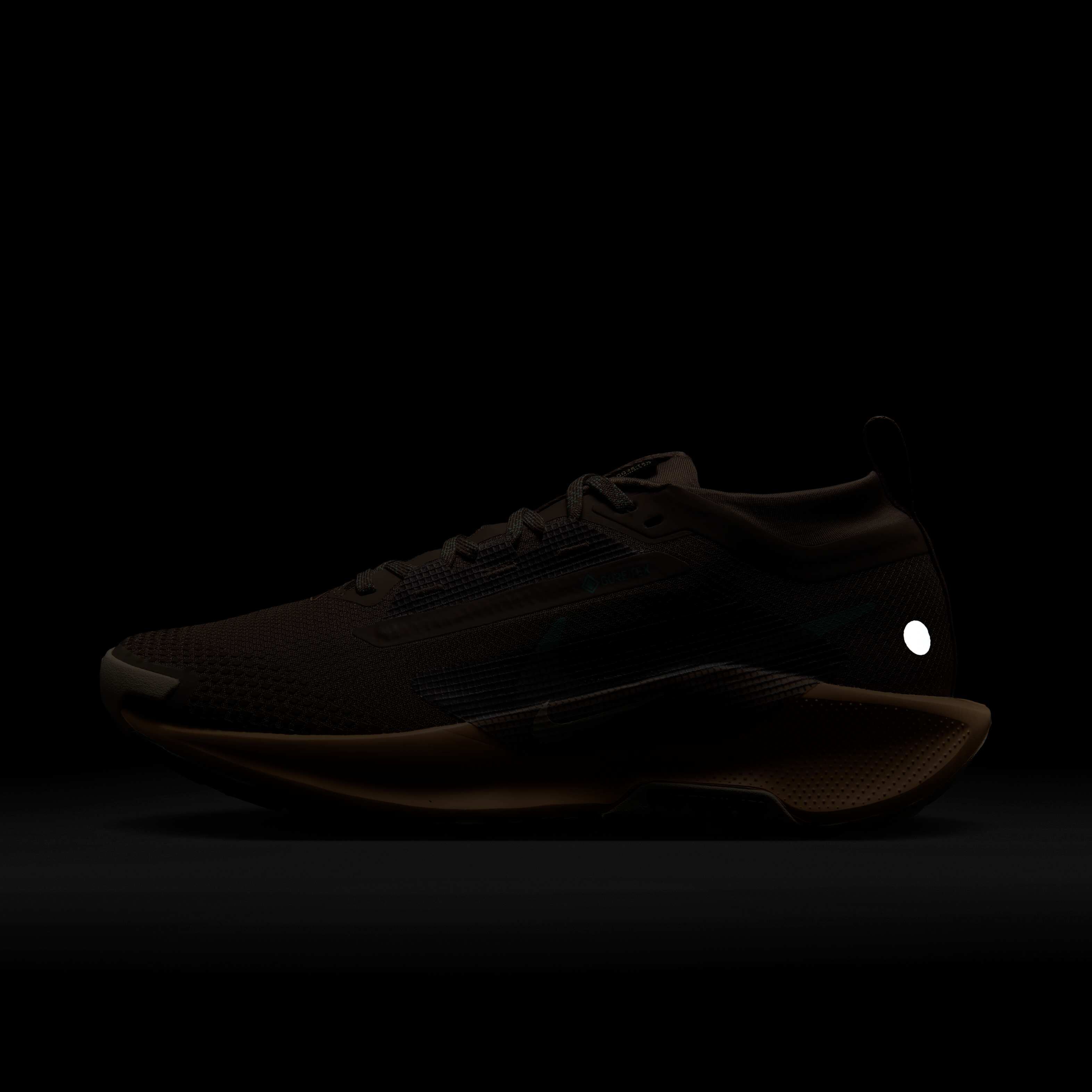 نايكي بيجاسوس تريل 5 جور-تكس image number 9