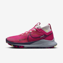 Nike Pegasus Trail 4 GORE-TEX