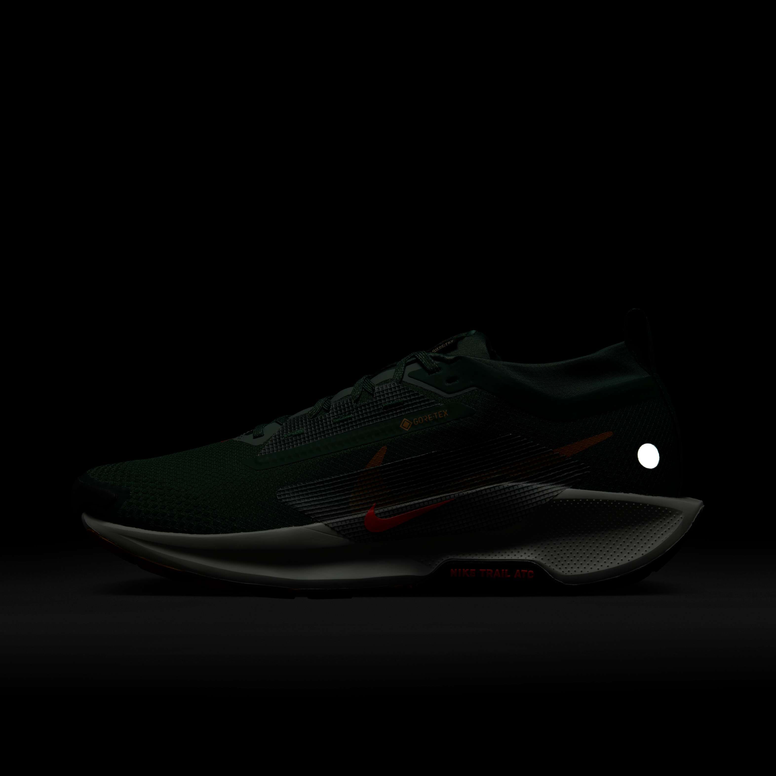 Nike Pegasus Trail 5 GORE-TEX image number 10