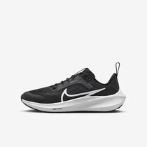 Nike Air Zoom Pegasus 40