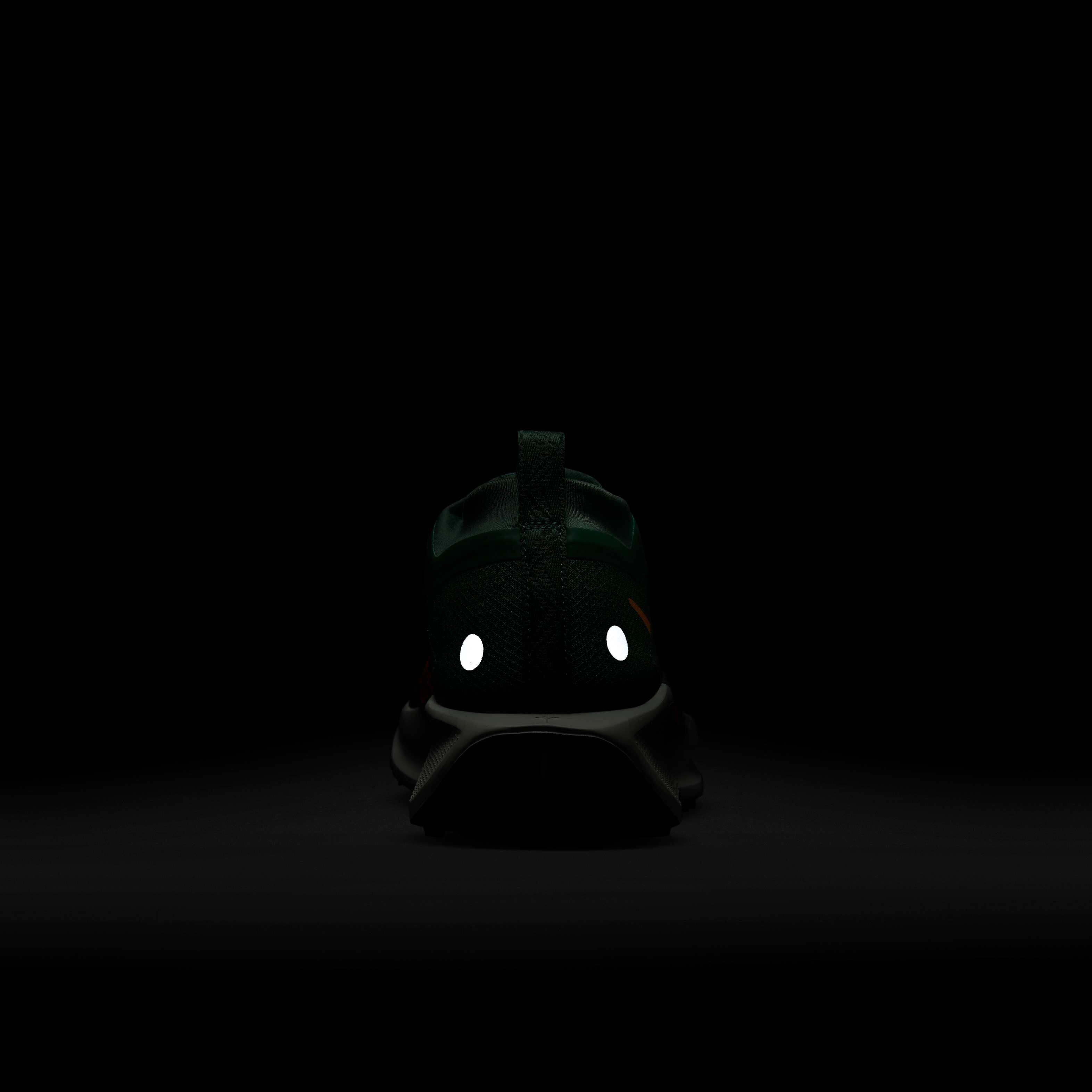 Nike Pegasus Trail 5 GORE-TEX image number 9