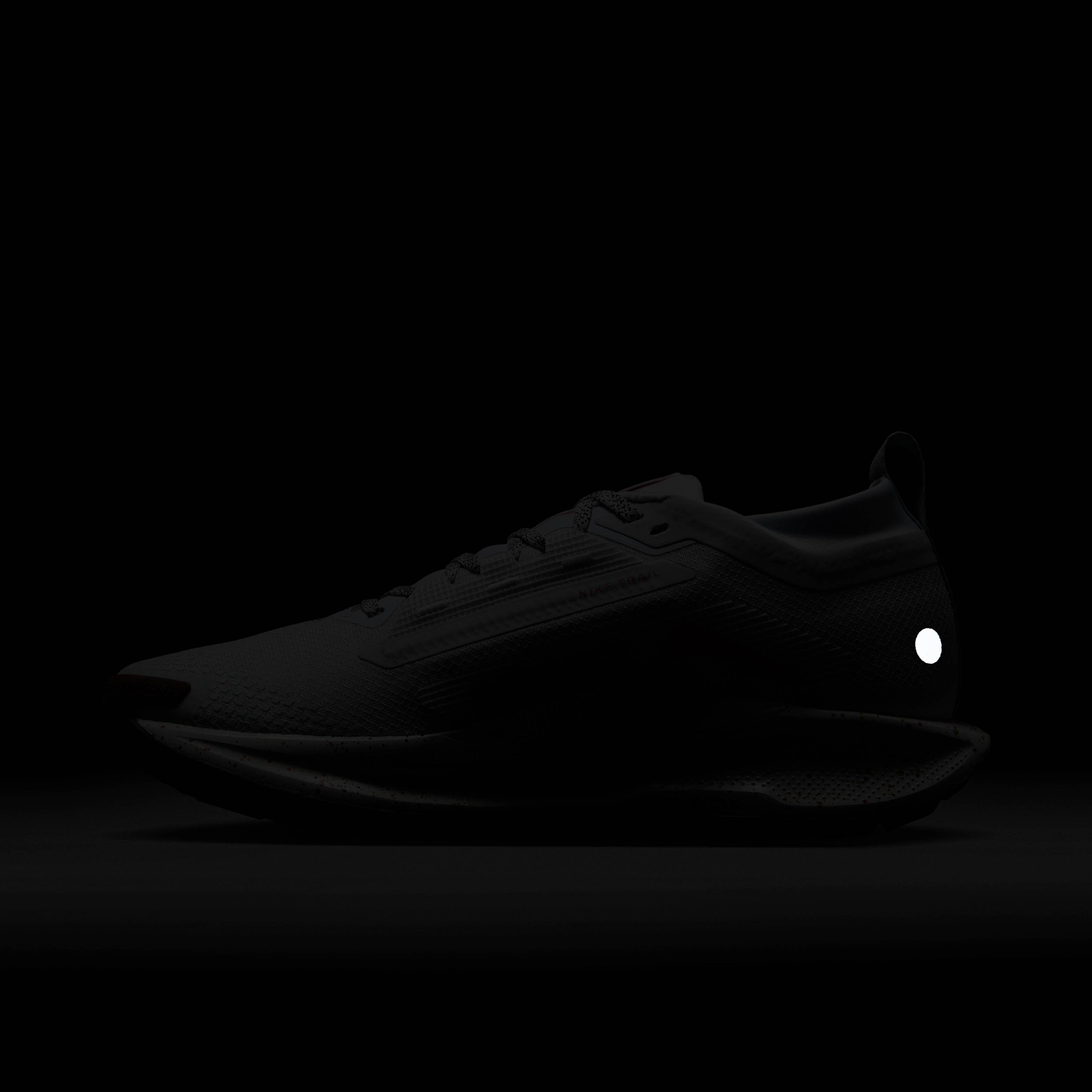 Nike Pegasus Trail 5 GORE-TEX image number 10