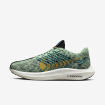 Nike Pegasus Turbo