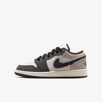Air Jordan 1 Low SE