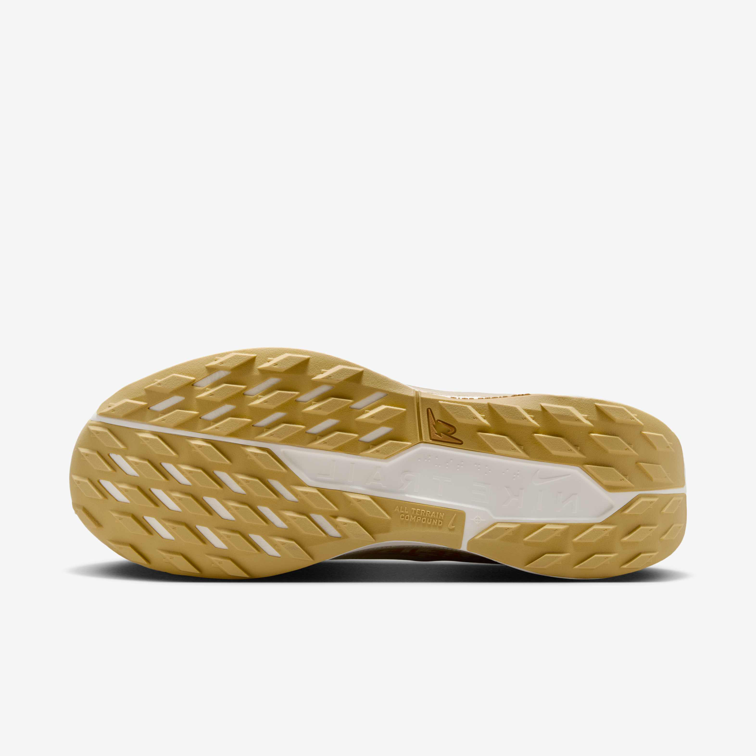 Nike Pegasus Trail 5 GORE-TEX SP image number 1