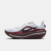 Nike Winflo 12 SE