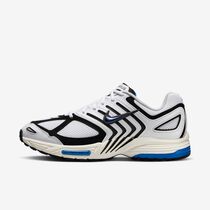 Nike Air Pegasus 2005