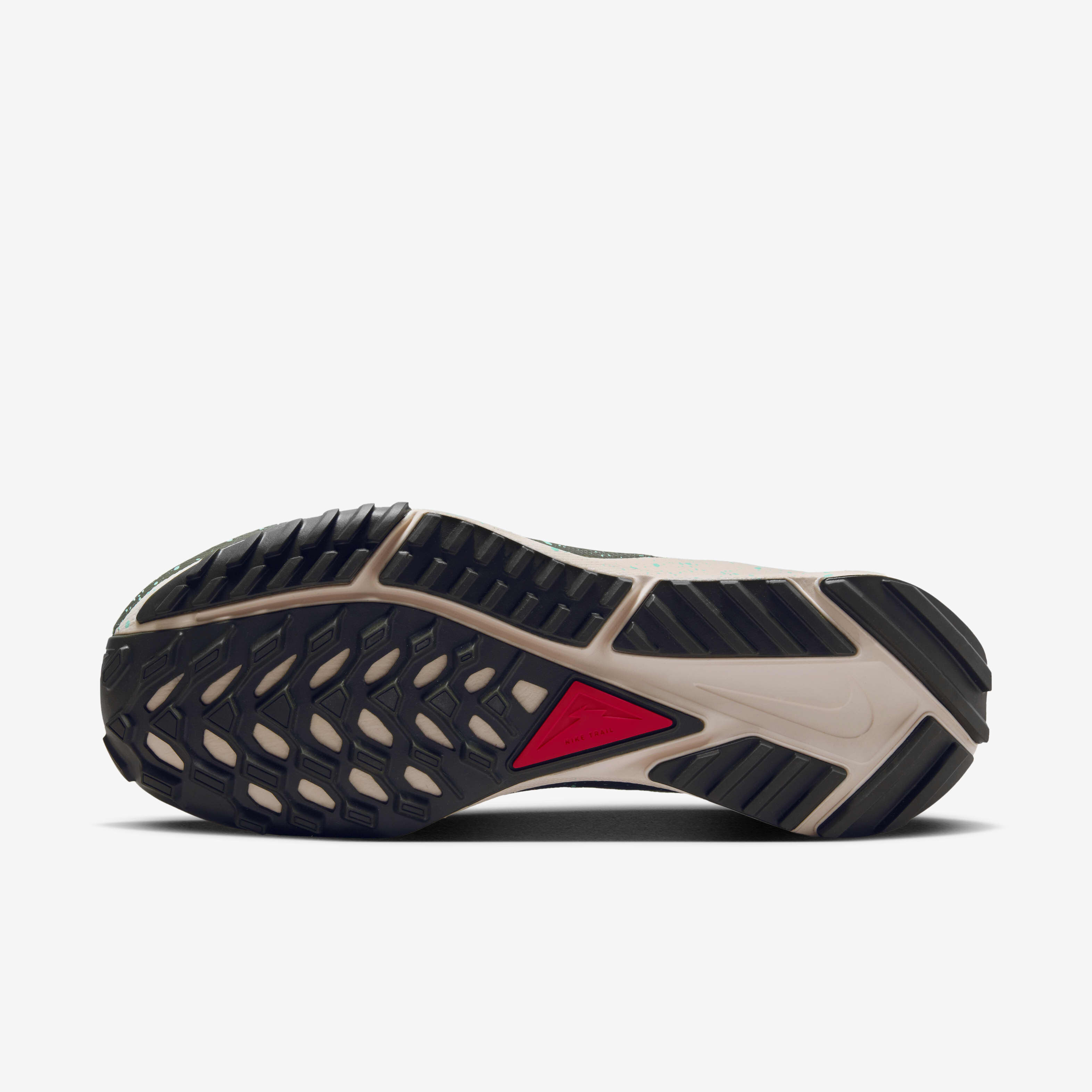 Nike Pegasus Trail 4 GORE-TEX image number 1