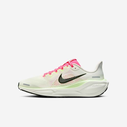 نايكي بيجاسوس 41 نايكي بيجاسوس 41