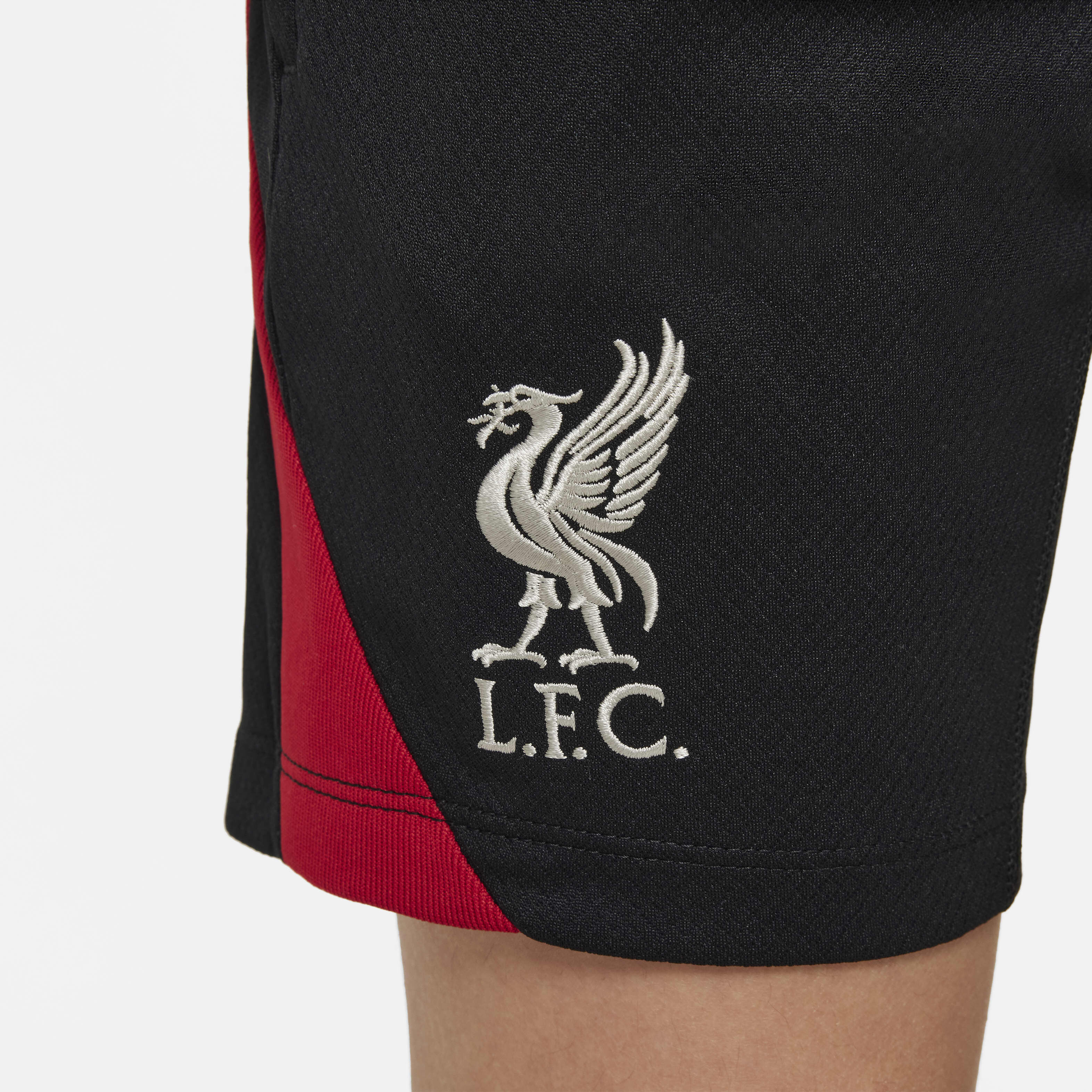 Liverpool F.C. Strike image number 7