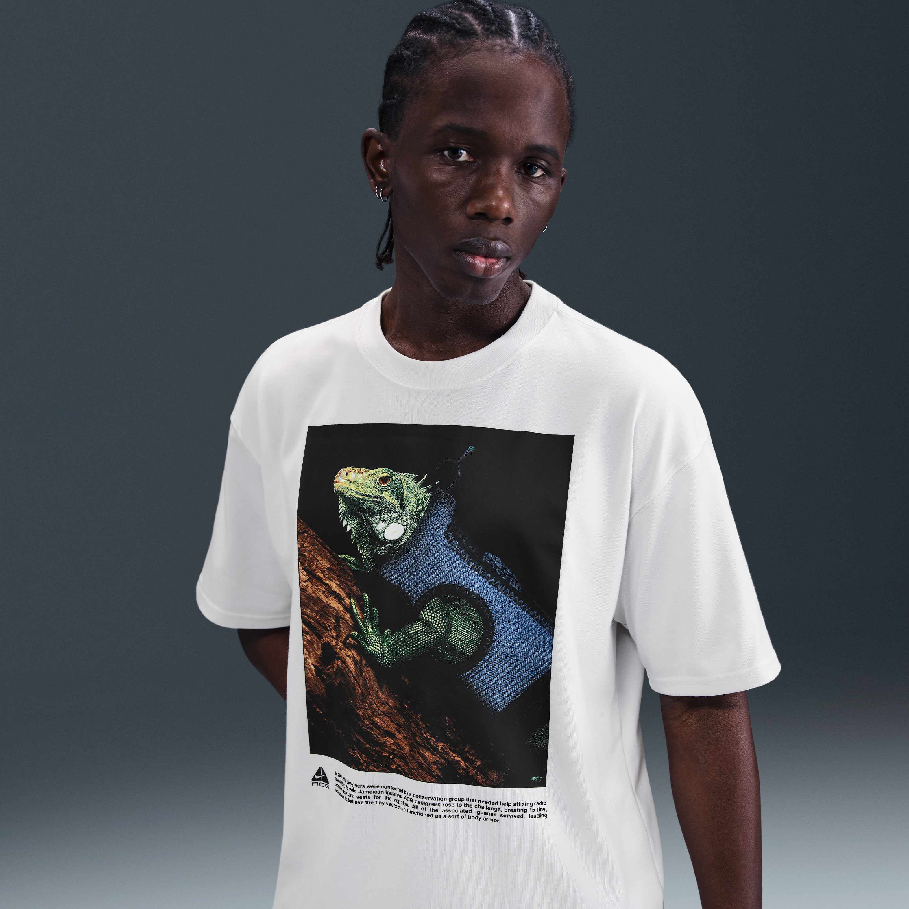 Tシャツ・カットソー Nike SS25 ACG IGUANA TEE (HJ0889 121) Nike ACG DF Iguana Men's T-Shirt Men's T-Shirt White HJ0889
