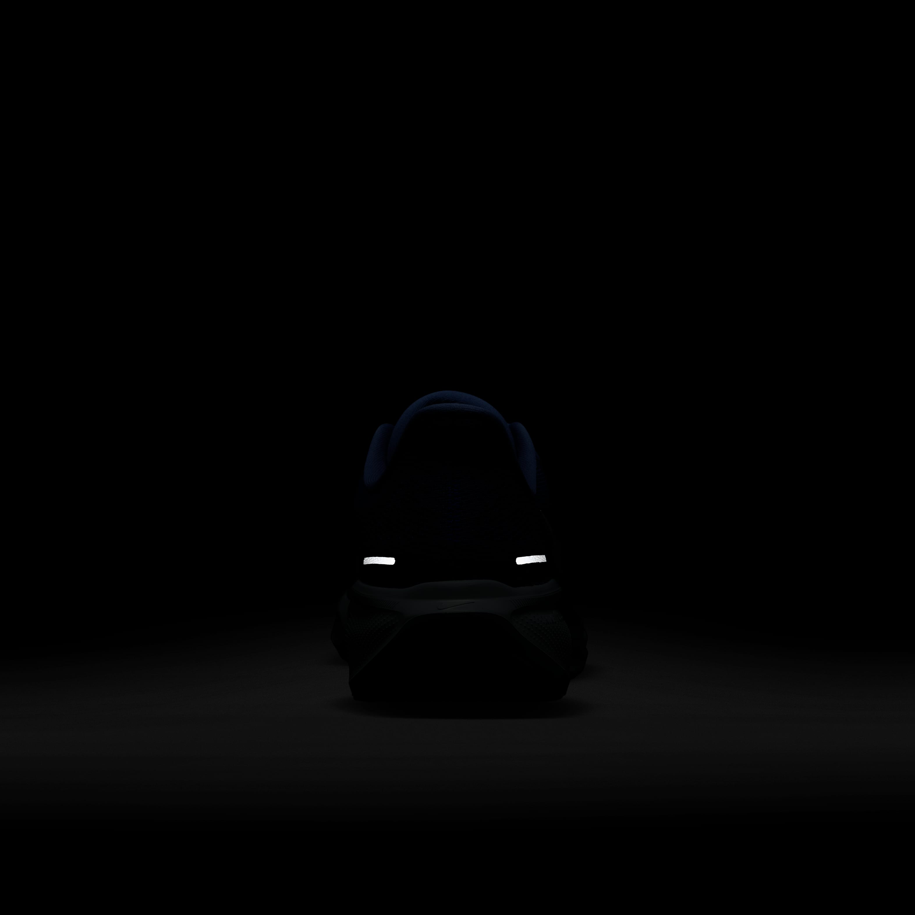 نايكي بيجاسوس 41 image number 9