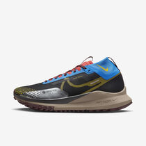 Nike Pegasus Trail 4 GORE-TEX