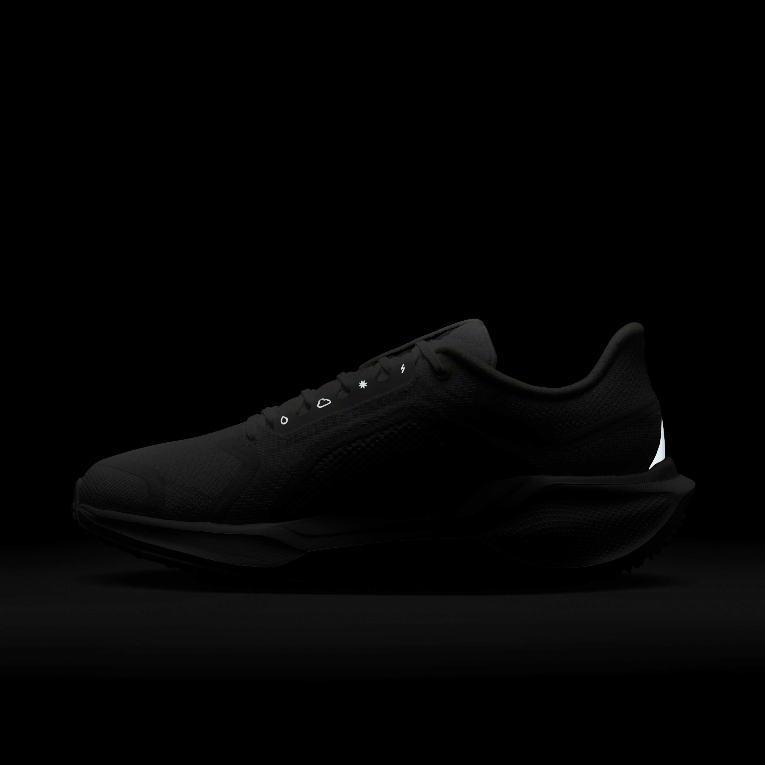 Nike Pegasus 41 GORE-TEX image number 11