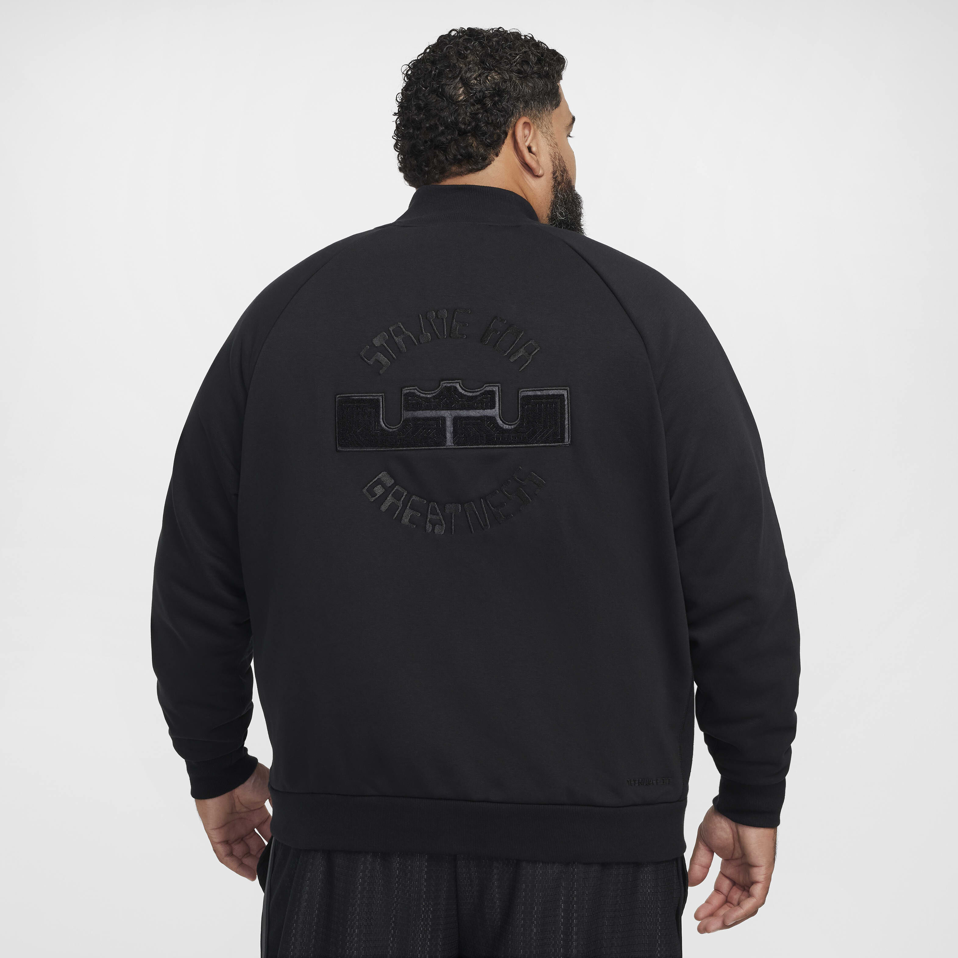 LeBron Standard Issue image number 12