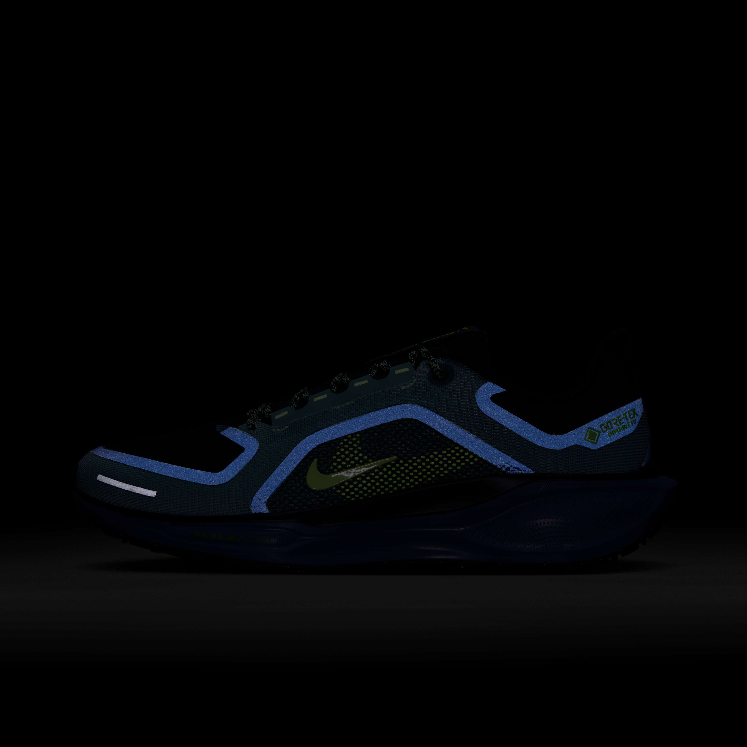 نايكي بيجاسوس 41 جور-تكس image number 8