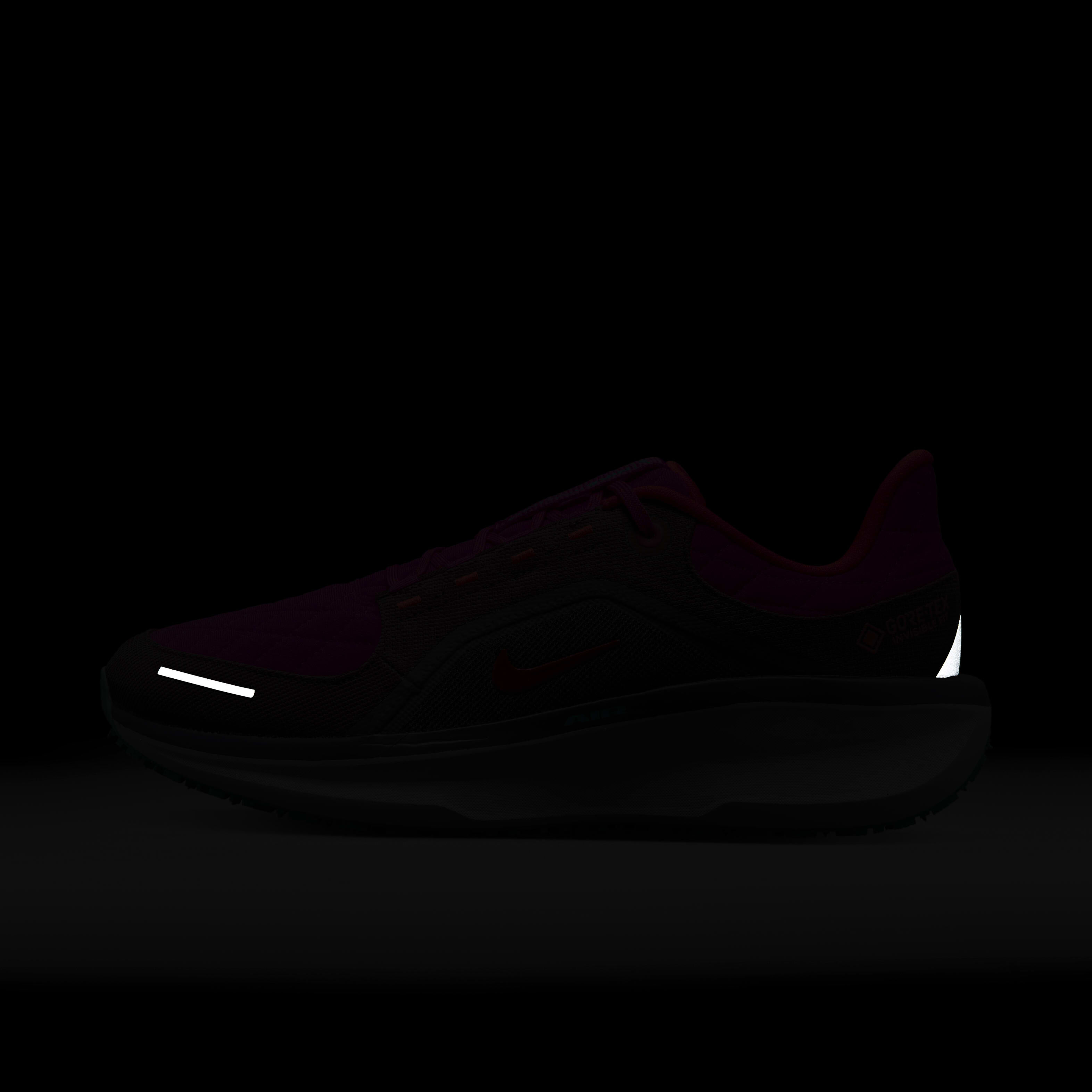 Nike Winflo 11 GORE-TEX SE image number 9