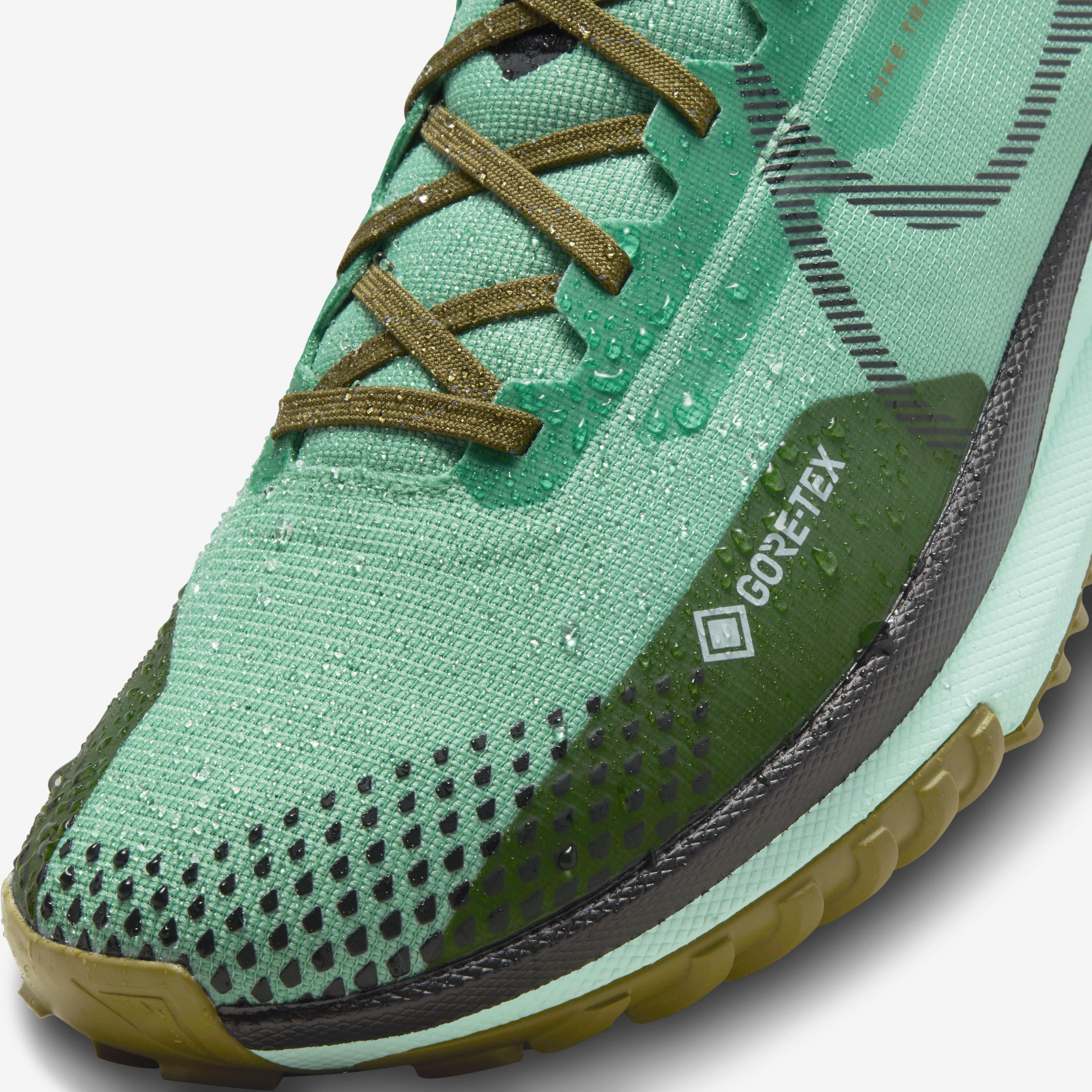 Nike Pegasus Trail 4 GORE-TEX image number 10