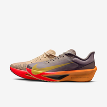 Nike Zoom Fly 6