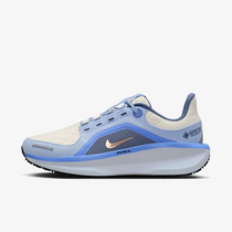 نايكي وينفلو 11 GORE-TEX