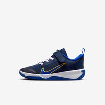 Nike Omni Multi-Court