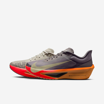 Nike Zoom Fly 6
