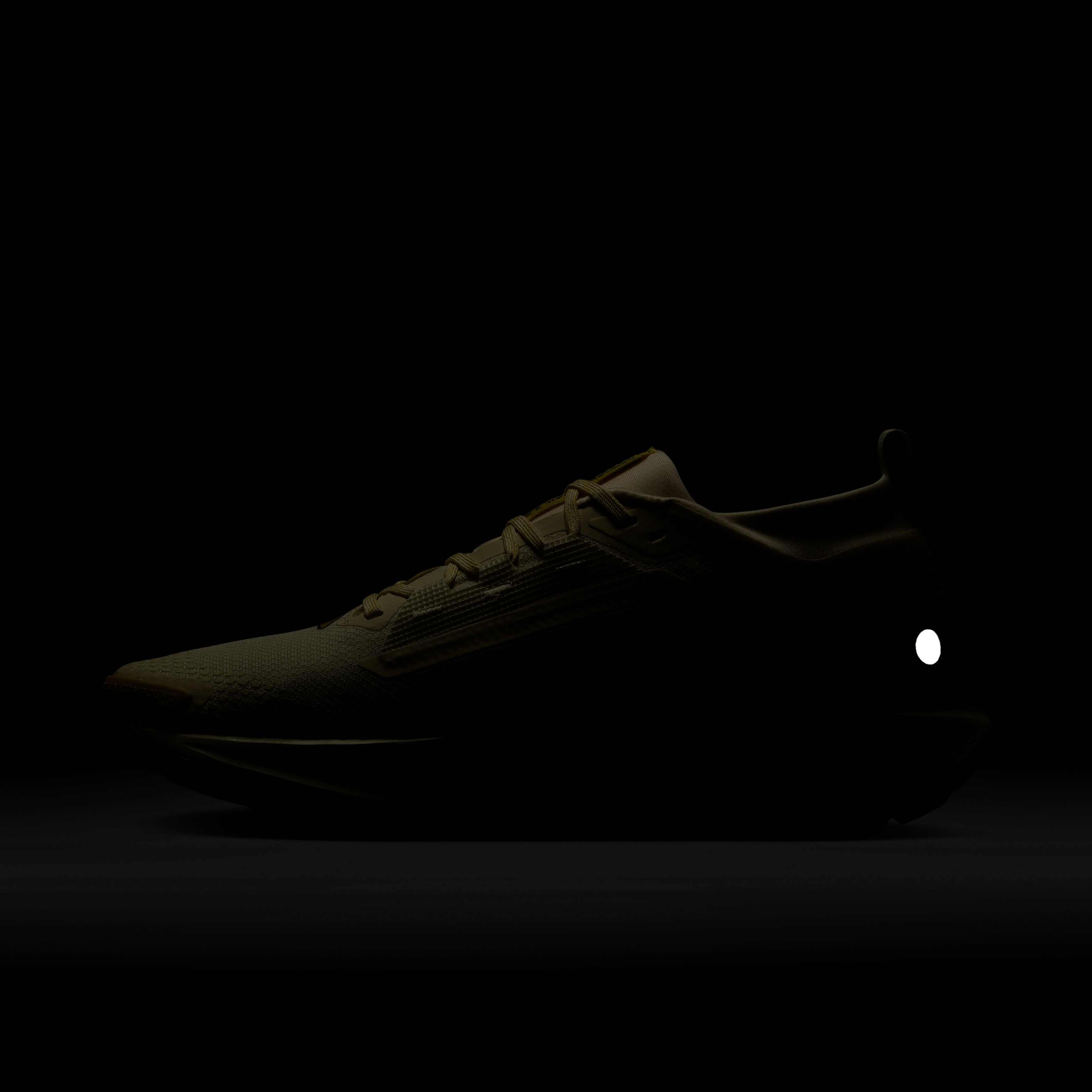 Nike Pegasus Trail 5 GORE-TEX image number 10