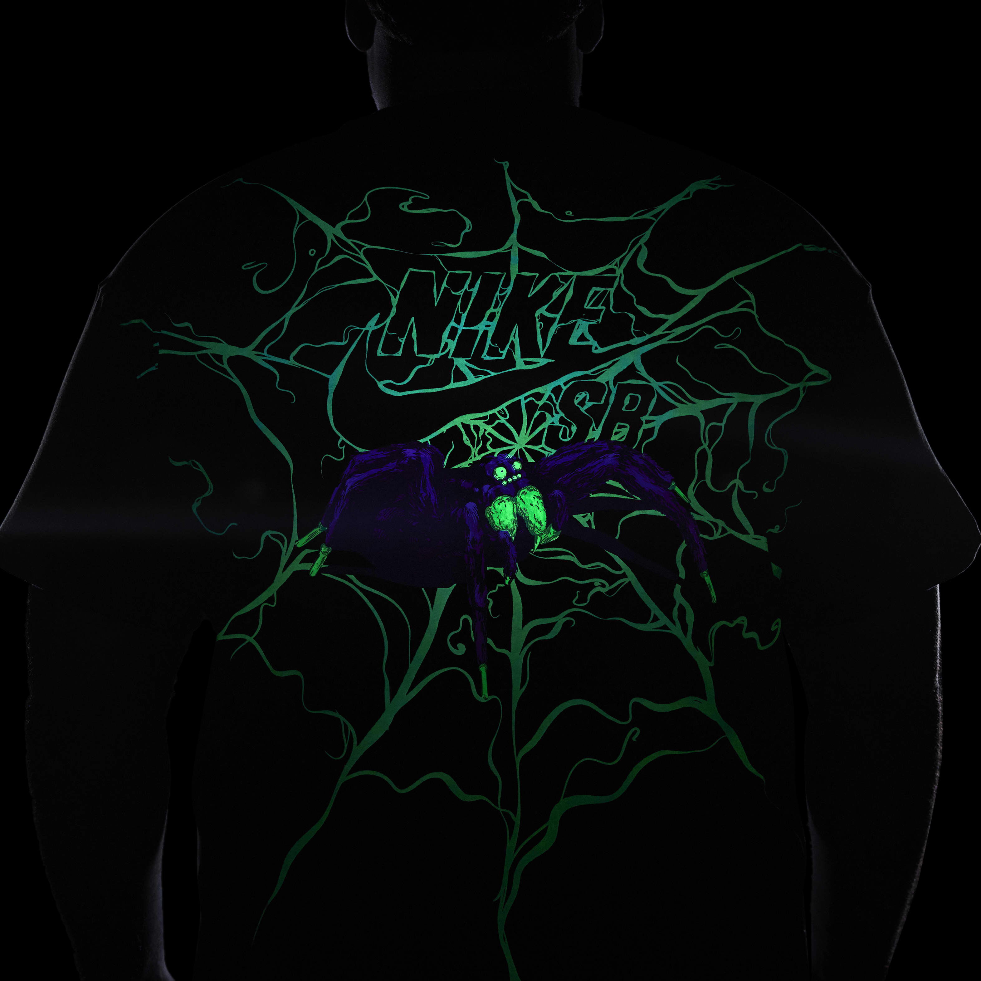 Nike SB image number 17