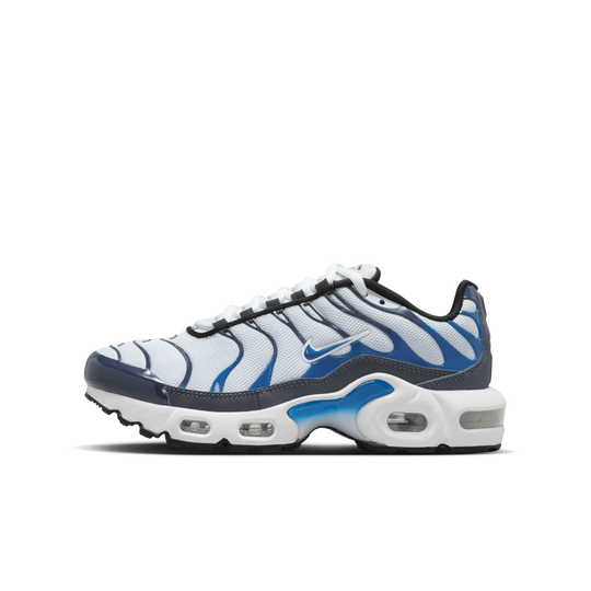 Nike air max plus boys shoe outlet