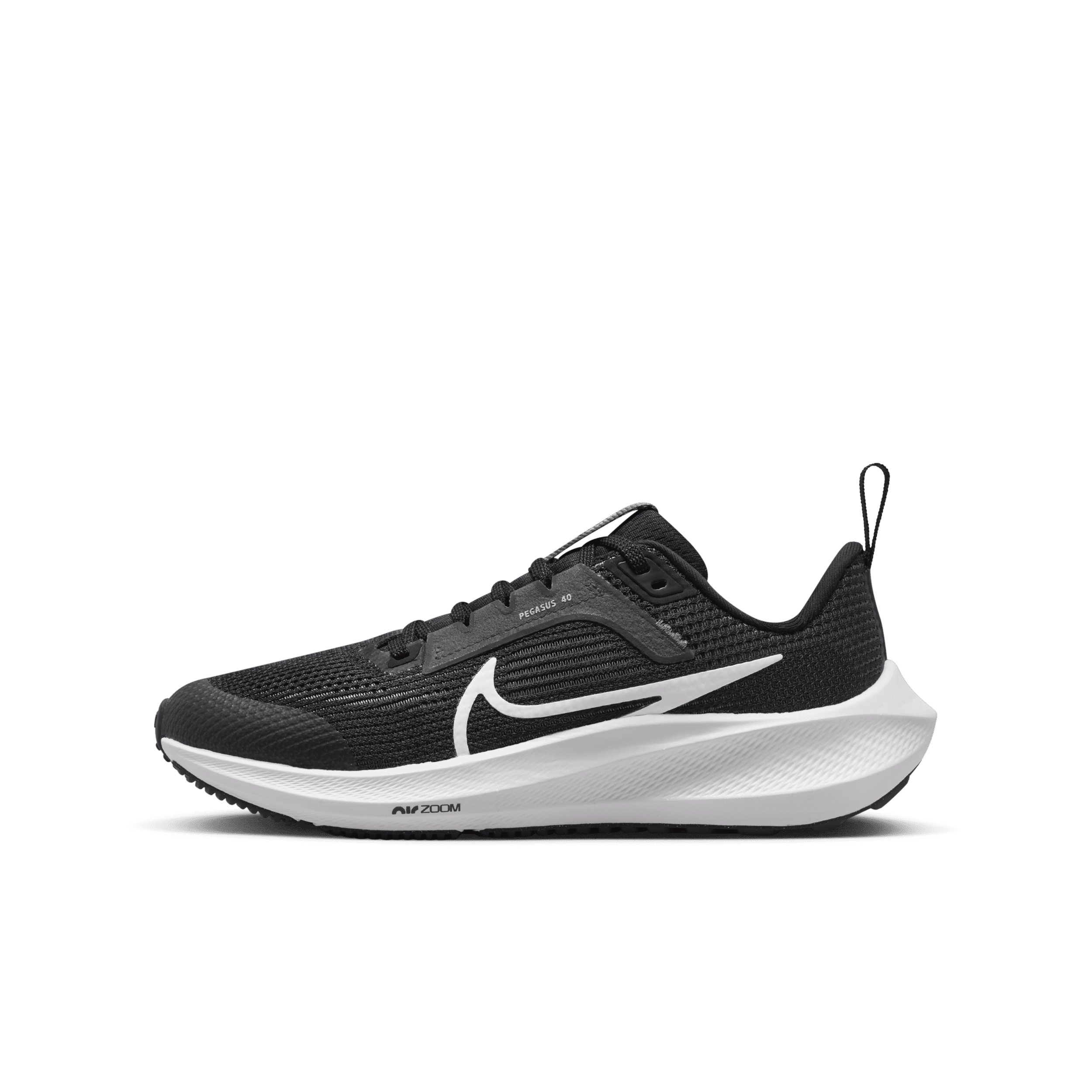 Free zoom deals pegasus