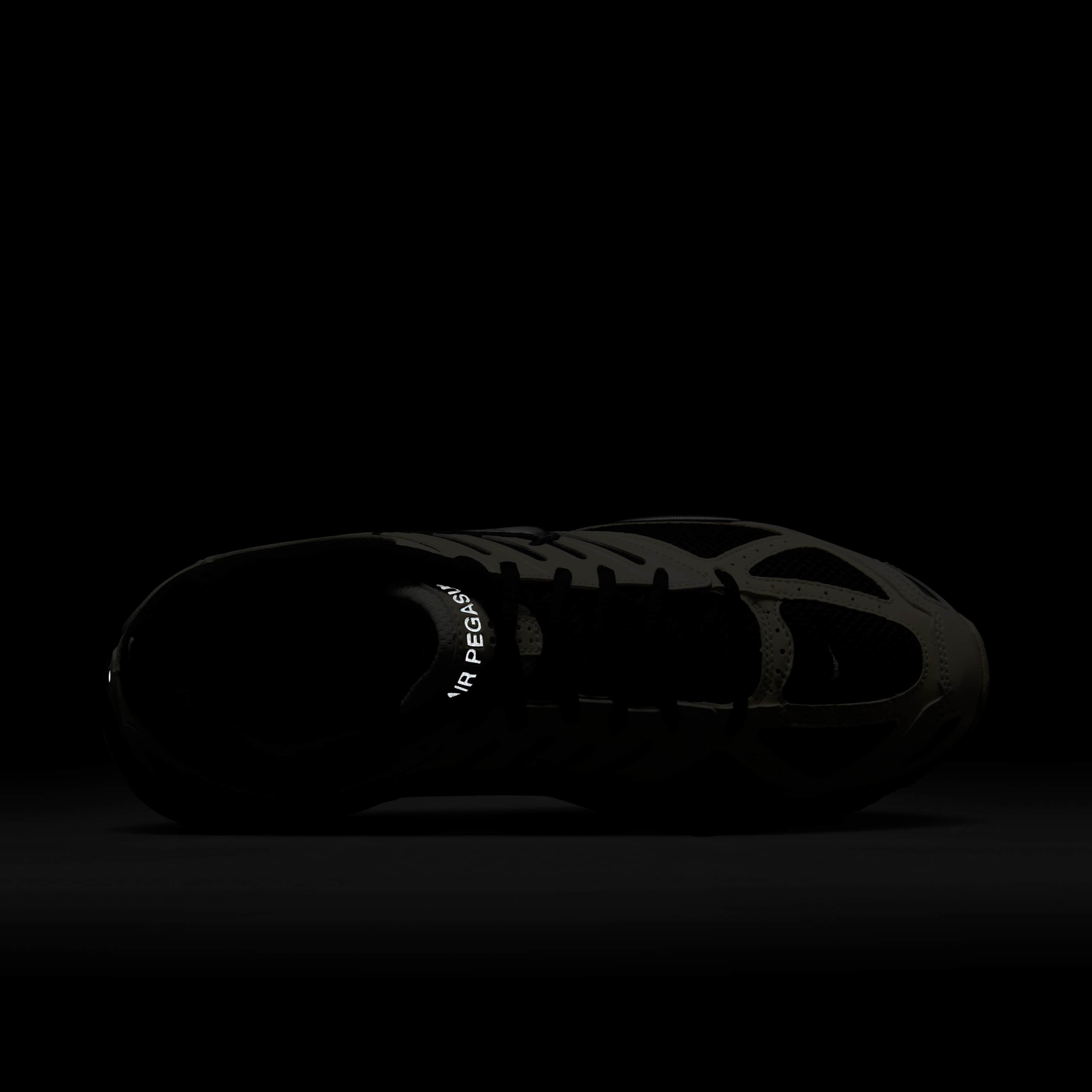 نايكي اير بيجاسوس 2005 image number 8